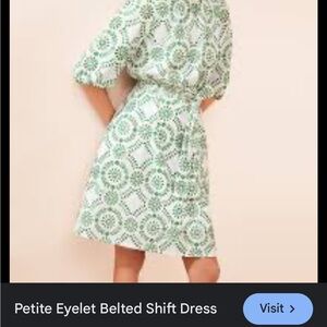 Ann Taylor Green Dolman Sleeve Mini Dress